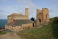 Profile Picture of Levant Mine and Beam Engineon Wikipedia
