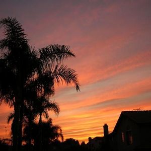 Profile Picture of Katie Hofer (@someneighborgirl) on Myspace