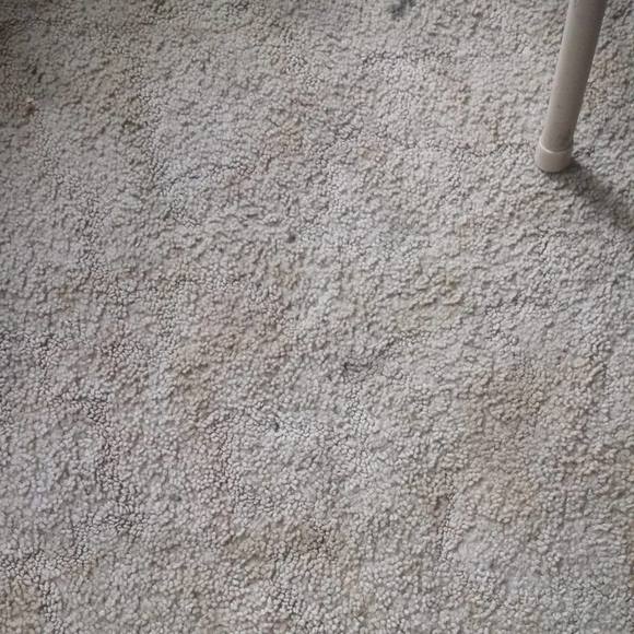 Profile Picture of Benjamin Vallejo (@benjaminvall613) on Poshmark