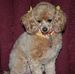 Profile Picture of Joann Chouinard (@joann.chouinard) on Facebook