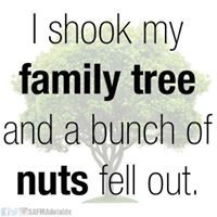 Profile Picture of Mitch Miller (@mitch-miller-11) on Quora