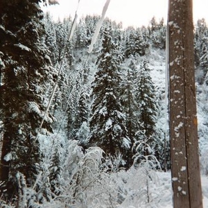 Profile Picture of Artemio Caballeros (@152676862) on Myspace