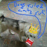 Profile Picture of Joshua Soares (@dogsrulandcatssux) on Instagram