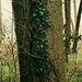 Profile Picture of James Allyn (@jimallyn1973) on Pinterest