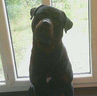 Profile Picture of Marcus Wright (Mad Max) (@marcus.wright.944023) on Facebook