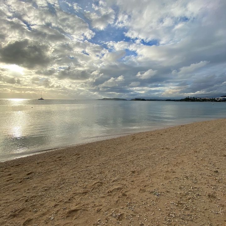 Profile Picture of James Carrell (@jamescarrell3) on Tiktok