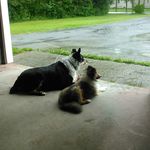 Ernest l Wilder - Instagram Profile Picture of Ernest l Wilder (@ernestlwilder) on Instagram