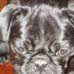 Profile Picture of Cleo Mitchell (@cleo.mitchell.56) on Facebook