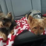 Profile Picture of Ray Walls (@ray.walls.16) on Facebook