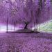 Profile Picture of Marion yager (@yagers612) on Pinterest