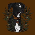 Profile Picture of ❀ 𝙷𝚊𝚛𝚘𝚕𝚍 𝚕𝚊 𝚌𝚑𝚗𝚘𝚕𝚎 ❀ (@thewildchnole) on Instagram