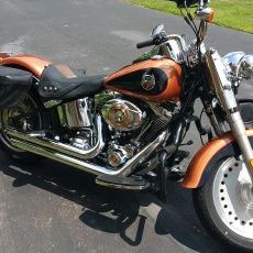 Profile Picture of Matt Cratty (@MattCratty) on Twitter