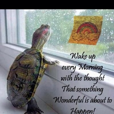 Profile Picture of Eva Petersen (@Eva_Bjonko) on Twitter