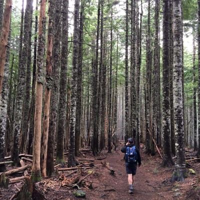 Profile Picture of Cory Stepp (@csvabred) on Twitter