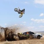 Profile Picture of Stephen Bernardo (@bltswolfer) on Instagram