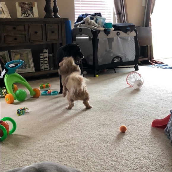 Profile Picture of Nicholas Barnhill (@njbarnhill0325) on Poshmark