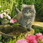 Savanna Schmidt - Youtube Profile Picture of Savanna Schmidt (@savannaschmidt1971) on Youtube