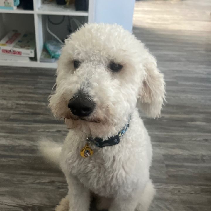 Profile Picture of tori jacobson (@torij87) on Tiktok