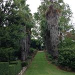 Profile Picture of Bill & Carol Campbell (@carols_garden_tenterfield) on Instagram
