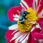 Profile Picture of Lisa Matthews (@lisamariematt) on Flickr