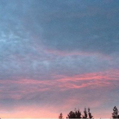 Profile Picture of Susan Gauthier (@SusanGauthier4) on Twitter