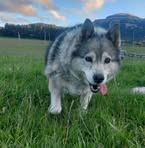 Profile Picture of Rossana Becerra Soto (@rossana.becerrasoto.9) on Facebook