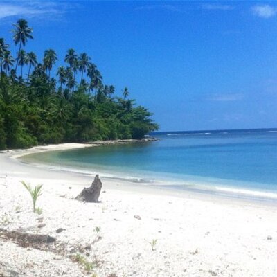 Profile Picture of Amy  Opperman (@pearlah) on Twitter