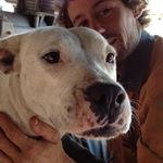 Profile Picture of Chris Howarth (@chris.howarth.583) on Instagram