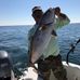 Profile Picture of Bryan Ryals (@bryan.ryals.79) on Facebook