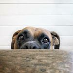 Profile Picture of Shawn Haley (@shawnhaleyphoto) on Instagram