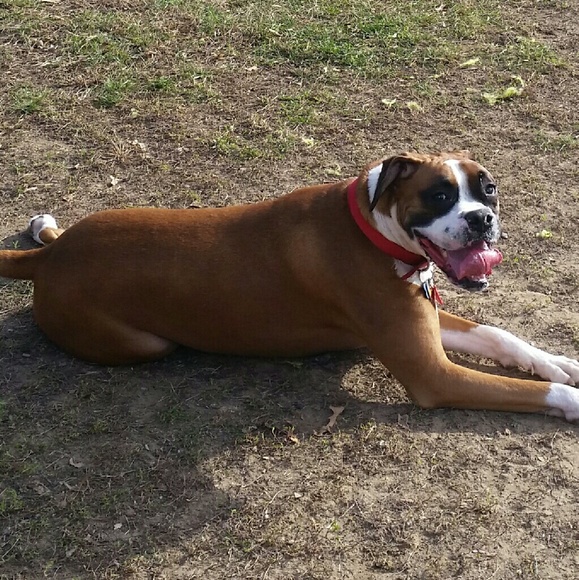 Profile Picture of Helene Lazarchick (@lazar54) on Poshmark