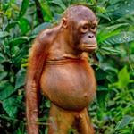 Profile Picture of Tim Hart (@tim_danger_hart) on Instagram