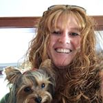Profile Picture of Paula McClure (@pmcclure69) on Instagram