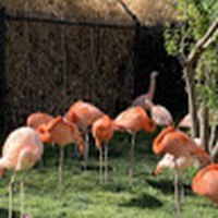 Profile Picture of Lizeth Solis (@lizeth-solis-15) on Quora