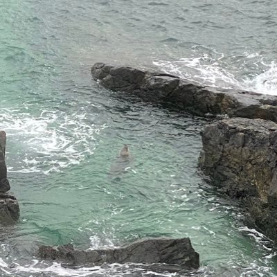 Profile Picture of Richard Widdowson (@Rich_Widdowson) on Twitter