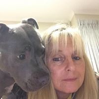 Profile Picture of Sandra Rourke (@sandra-rourke-1) on Quora