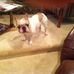 Profile Picture of Joanne H Pool (@joanneh.pool.14) on Facebook