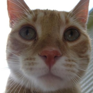 Profile Picture of Peter Atwood (@peteratwood) on Myspace