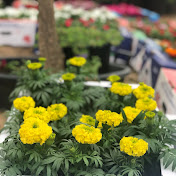 Profile Picture of Rekha Nair (@rekhanair3784) on Youtube