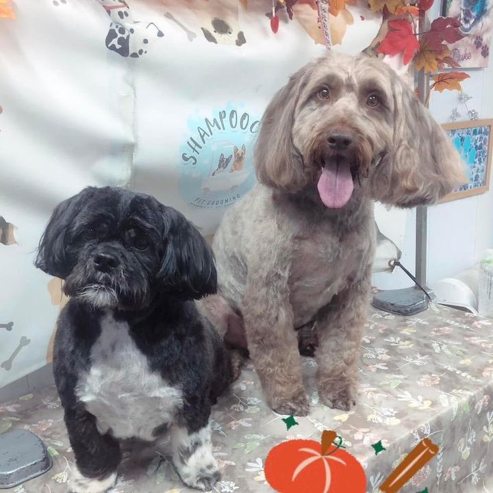 Profile Picture of Mary While (@marywhile) on Tiktok