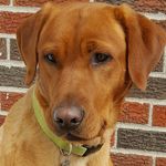 Profile Picture of Kyle  Gerhart (@maverickfindsetsy) on Instagram