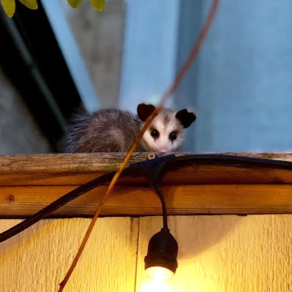 Profile Picture of Brianna Mckeever (@hopesrkive) on Poshmark