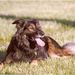 Profile Picture of Ralph Keenan (@ralphckeenan) on Pinterest