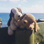 Profile Picture of ROBIN & RUBY (@robinlovesruby) on Instagram