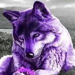 Profile Picture of barry barton (@barry3769) on Instagram