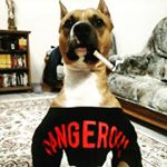 Иван Голуб - Instagram Profile Picture of Иван Голуб (@golub4761) on Instagram