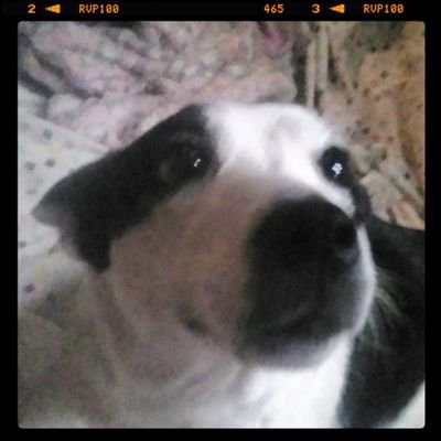 Profile Picture of Andrew Ray Akers (@AndrewRAkers913) on Twitter