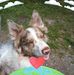 Profile Picture of Janet Catton (@janet.catton.39) on Facebook
