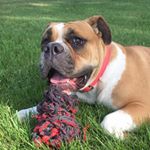 Profile Picture of Miss Avah Lee Dummitt (@missavahlee) on Instagram