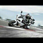 Profile Picture of Peter OGorman/Angelo Depace (@motorcycles__) on Instagram
